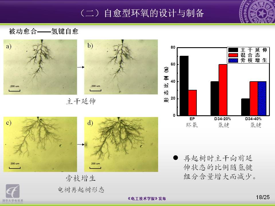 清華大學(xué)電機系楊穎副教授：向大自然學(xué)習(xí)，電工材料的設(shè)計與制備