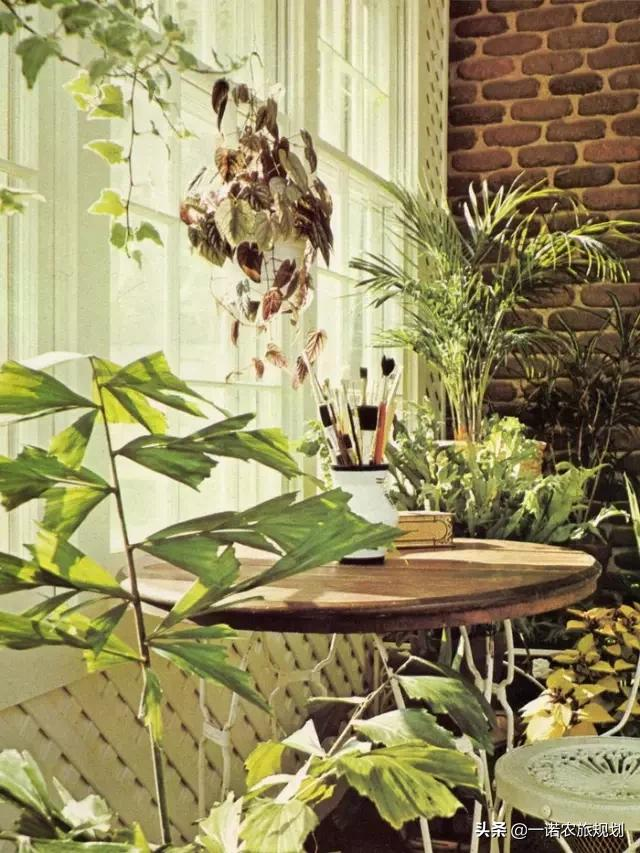 如何用花花草草，布满屋里屋外？