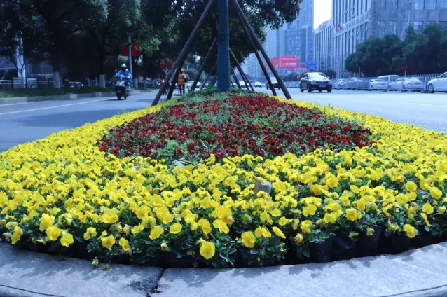 喜迎党代会奋进新征程 |芙蓉区：用“绣花功夫”建设“精品城区”