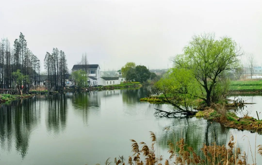 诗词｜等一城烟雨，渡一世情缘-第3张图片-诗句网