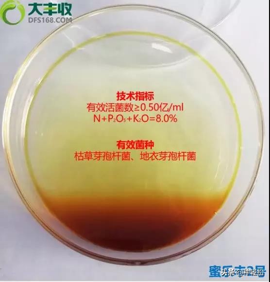种轻松：枯草芽孢杆菌和地衣芽孢杆菌杆菌在作物上有何妙用？