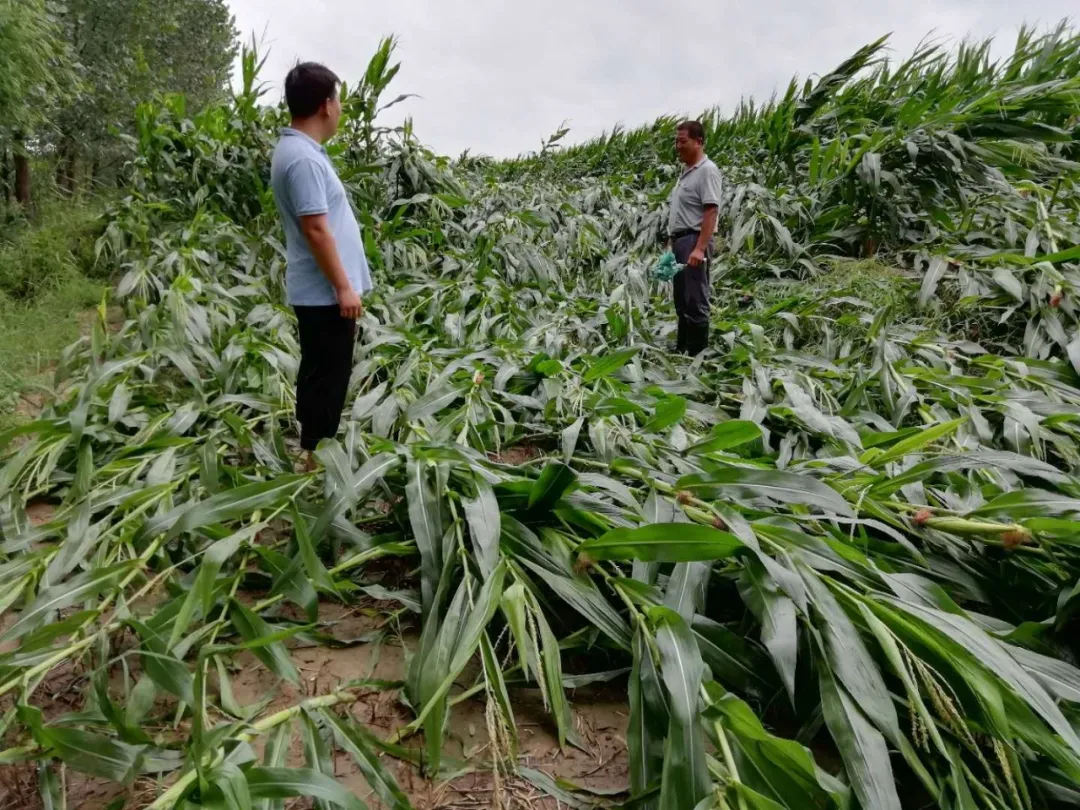 镜头中的山东司法② | 司法为民