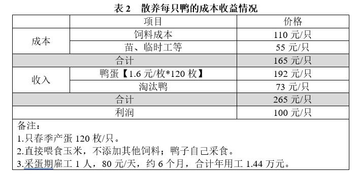 蛋鸭养殖散养净利润100元/只，规模养殖20元/只