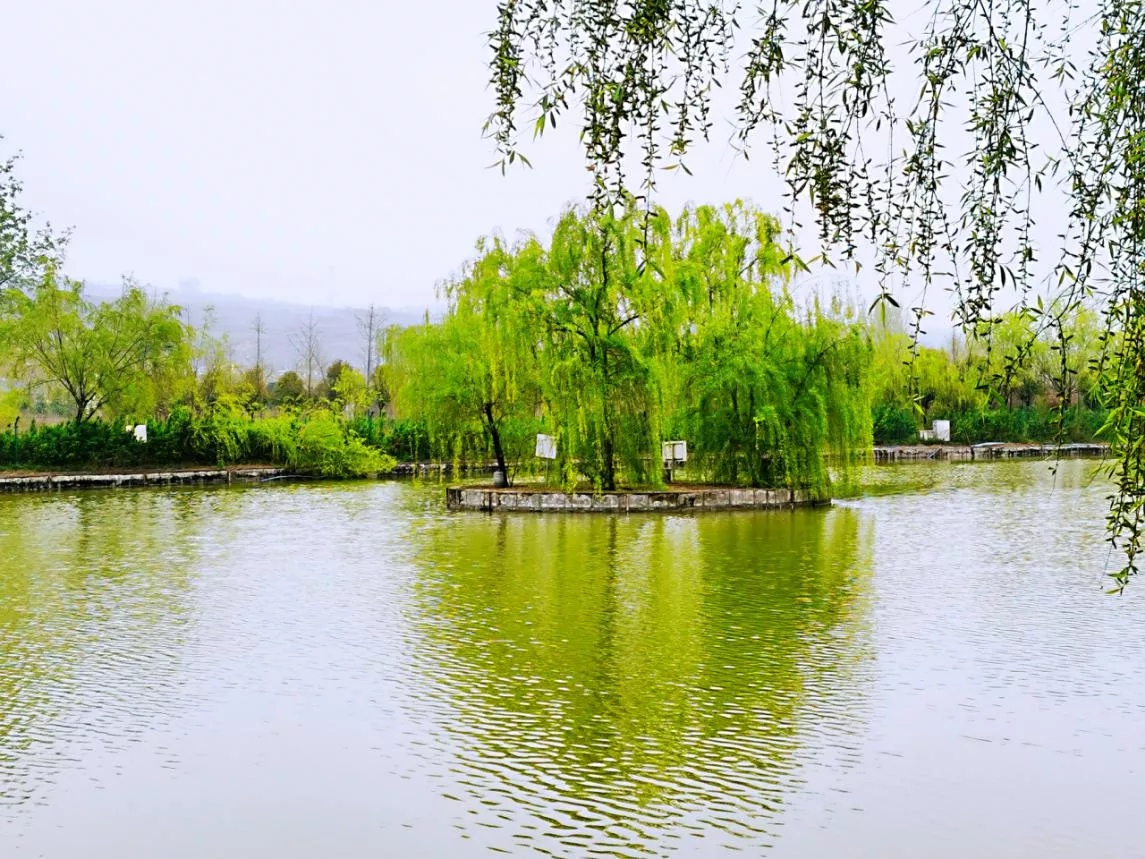 以非凡致敬平凡,新未来为西安师生打造3000亩研学及劳动教育基地
