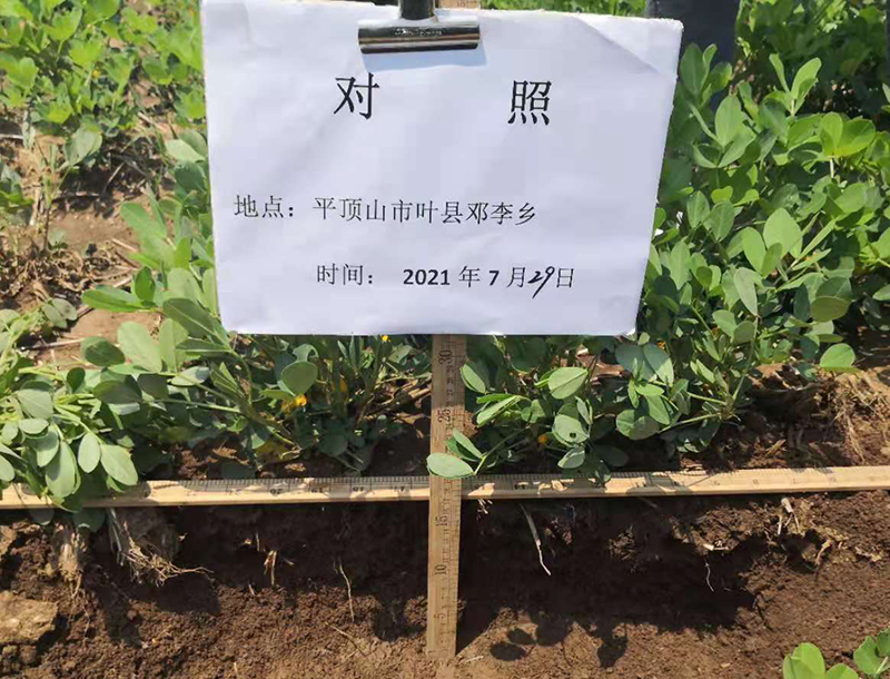 經濟作物種植，離不開的，科學土壤培肥方法