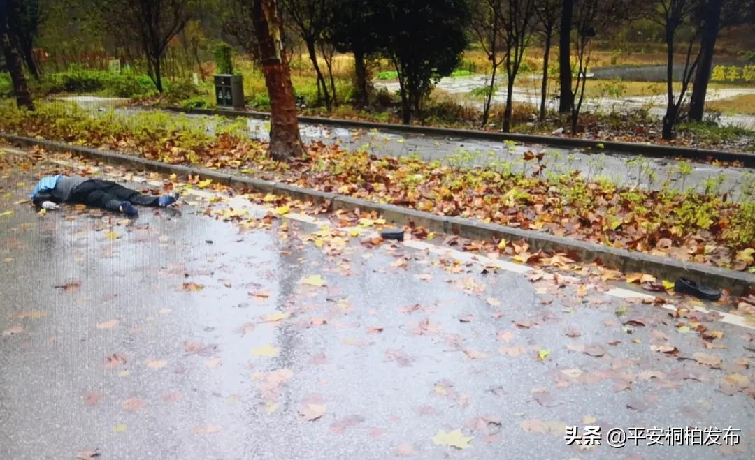 现场没有任何线索的交通肇事逃逸案被侦破