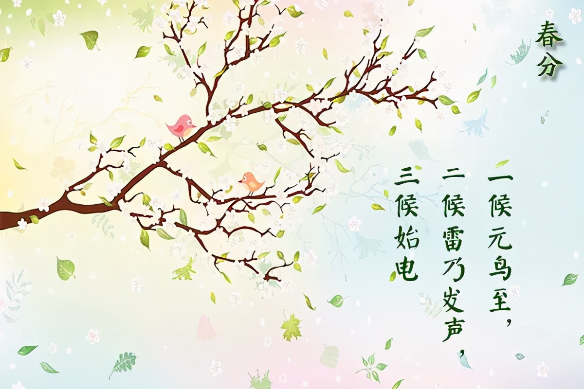 春分 | 不負(fù)時(shí)光