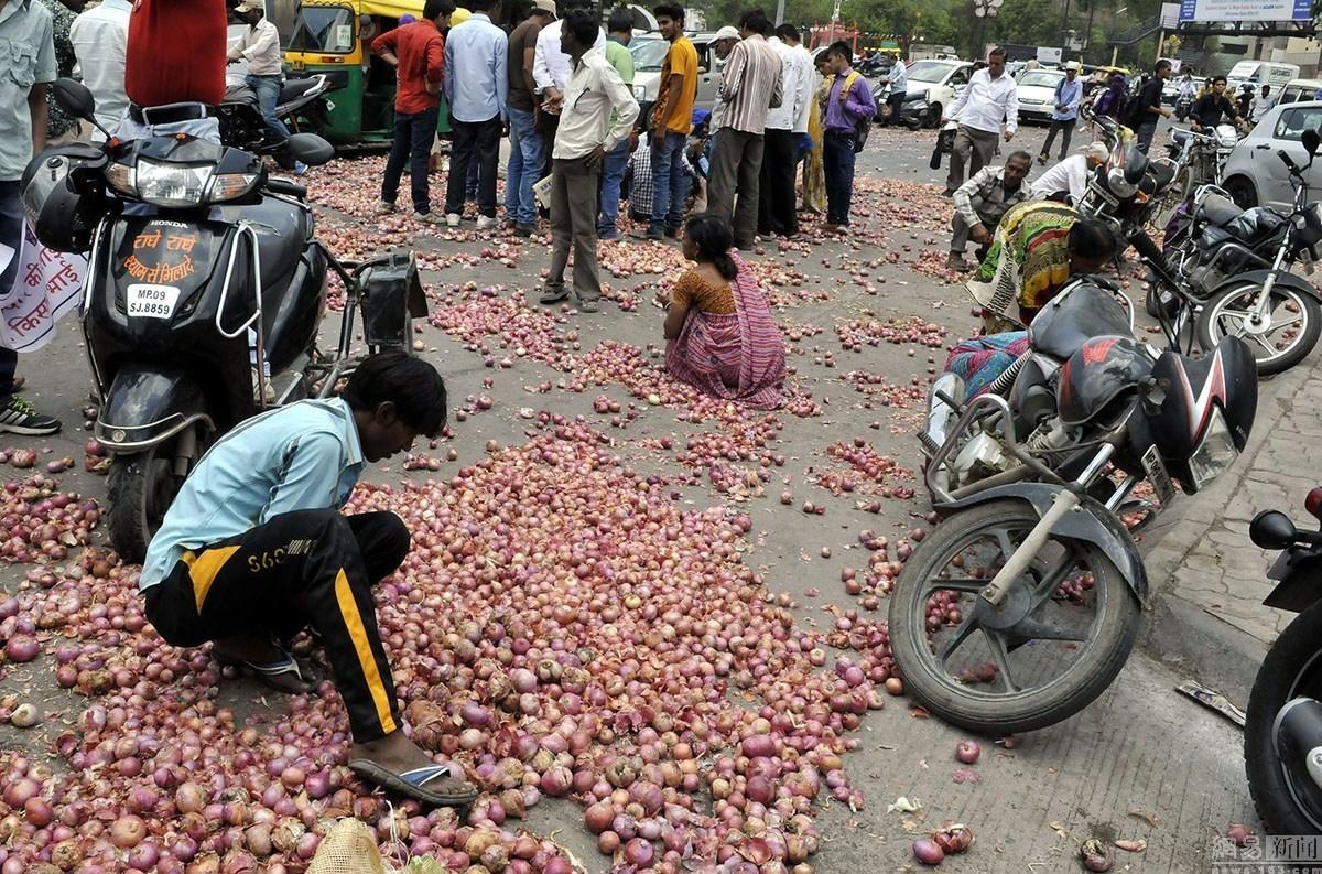 一份侵略者的礼物，洋葱，是如何让印度人泪流不止的？