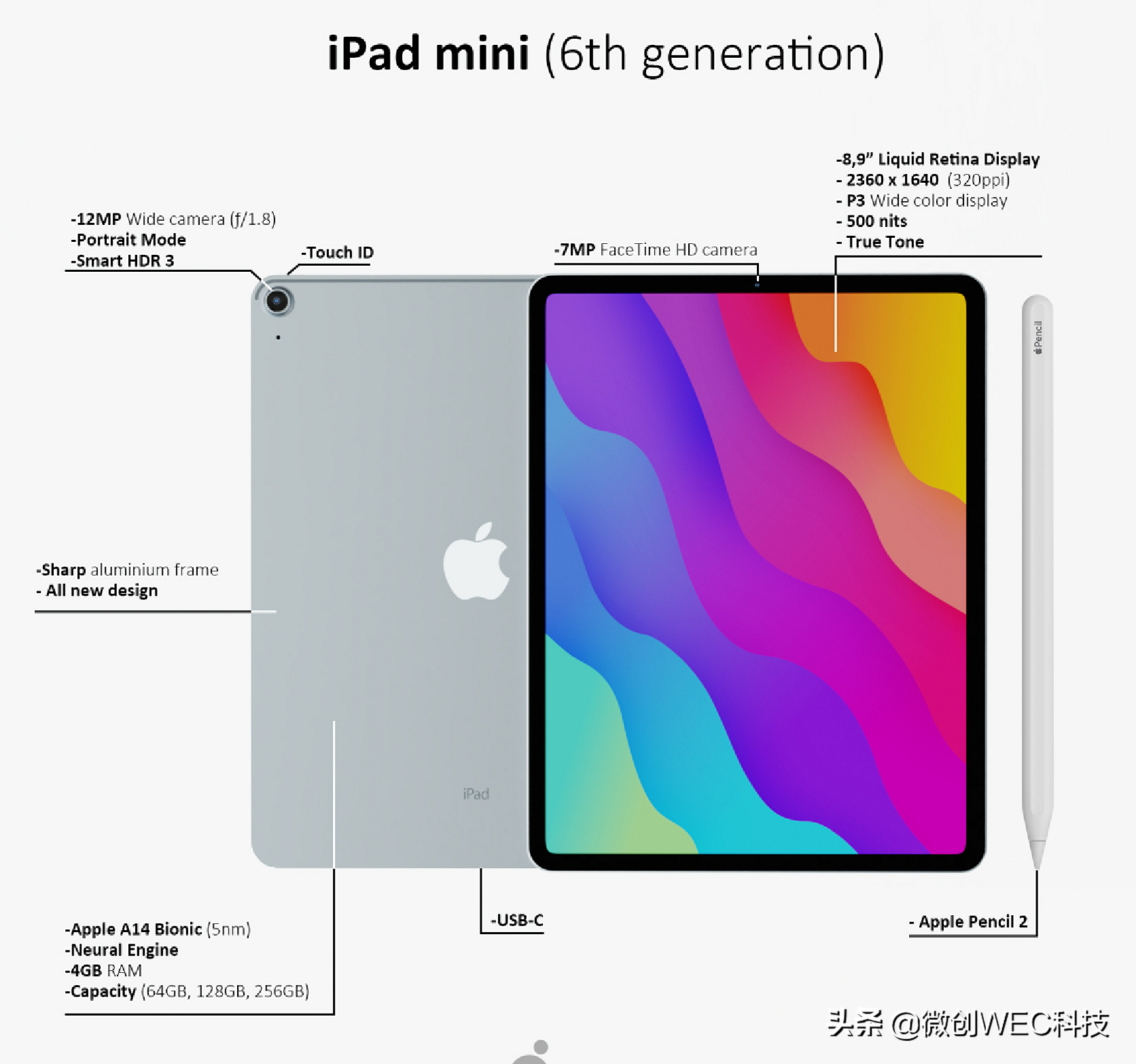 新款iPad mini即将来袭！全面屏设计，屏幕更大性能更强