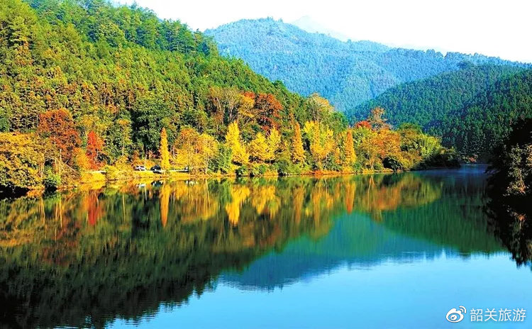准备打卡！金丝皇菊花海、银杏...周末来南雄这条线，玩法不重复