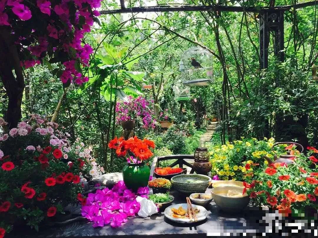 杨丽萍新照只剩骨架，瘦如竹竿皮肤糙，不穿民