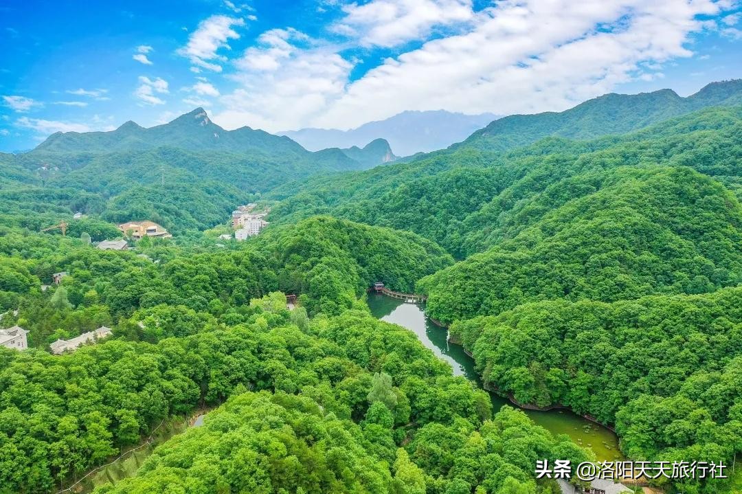 洛阳五一花情资讯，这几个地方还有牡丹花看，抓紧啦