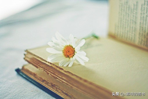 关于爱的名言美句 与爱有关的名言名句