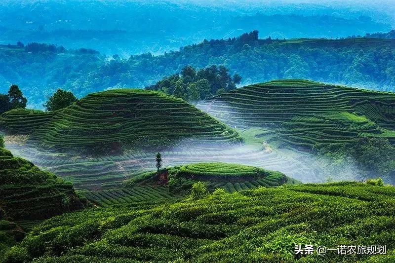 2021年農文旅項目可申請的20種政策補貼