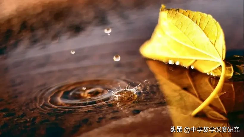 平坦的路好走，但泥泞的路上才留下脚印