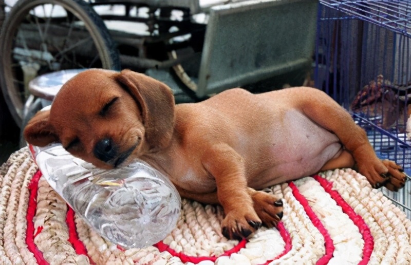 這些生活中的奇葩冷星空体育官网入口网站，有多少是你不知道的呢？