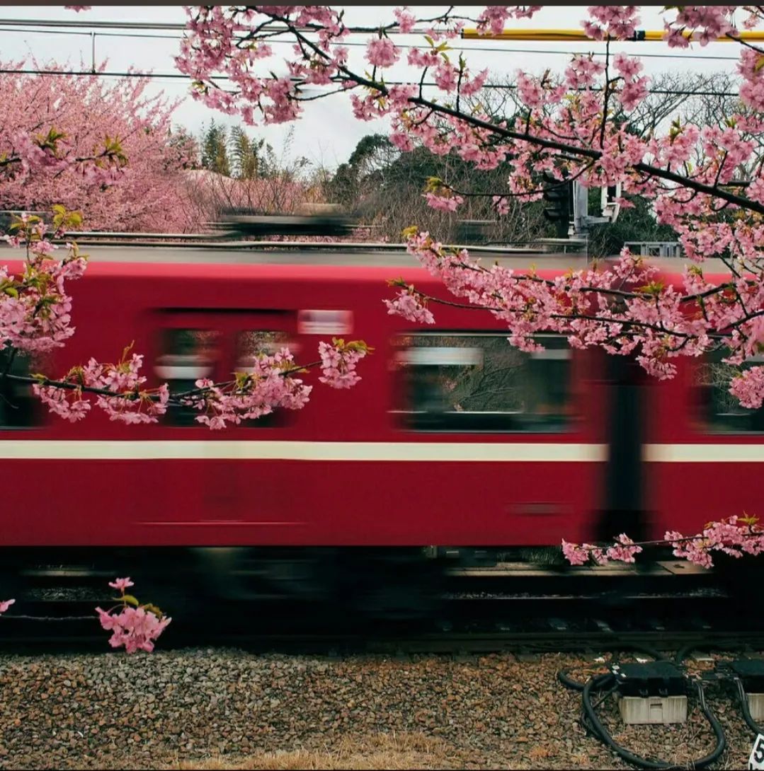 置顶文案背景图要在不愉快的日子里，搜刮生活藏起来的温柔