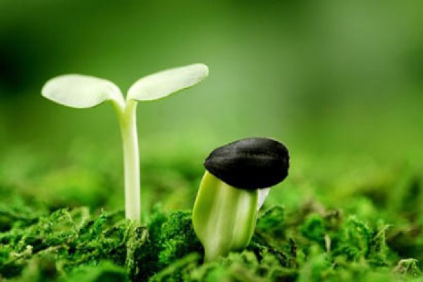 数学名言名句大全 最经典的数学名言警句