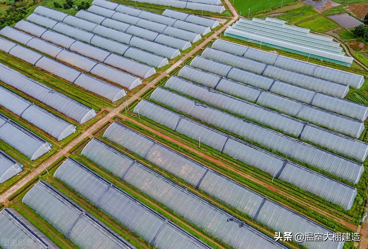 新型智能温室大棚建设工程引领智能化农业提前启动