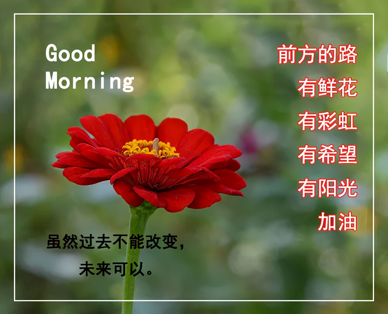 清晨问候早安的简短语句，新的一天早安祝福语精美语句图片