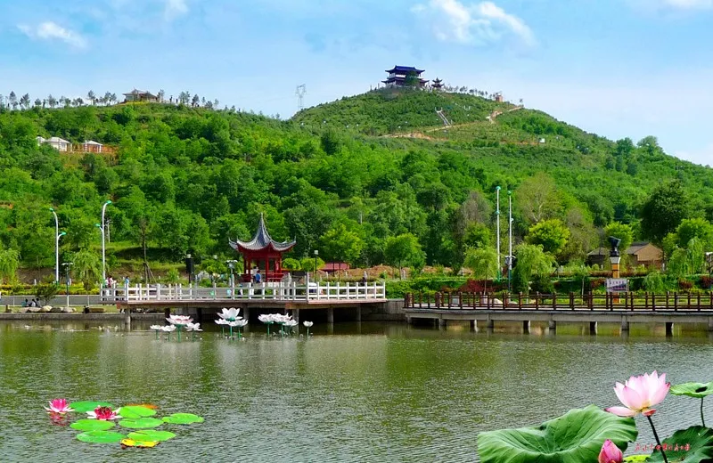 【甘肃经济日报】从春天启航 用四季歌唱——华亭市乡村文化旅游写意