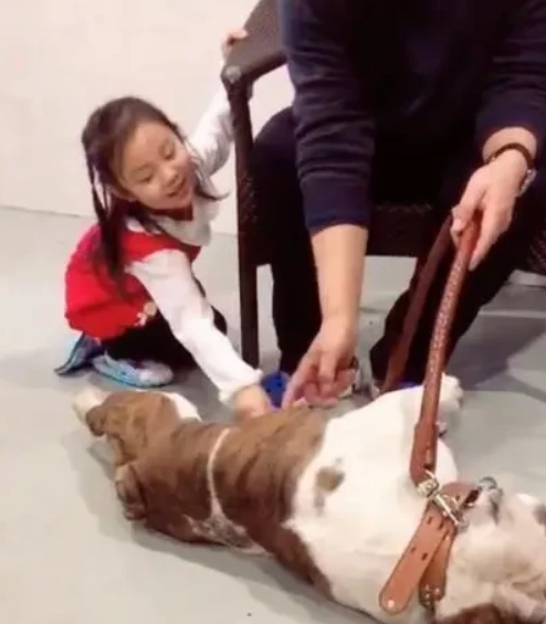 1200万！曝李小璐第3次被骗，贾乃亮甜馨认识骗子