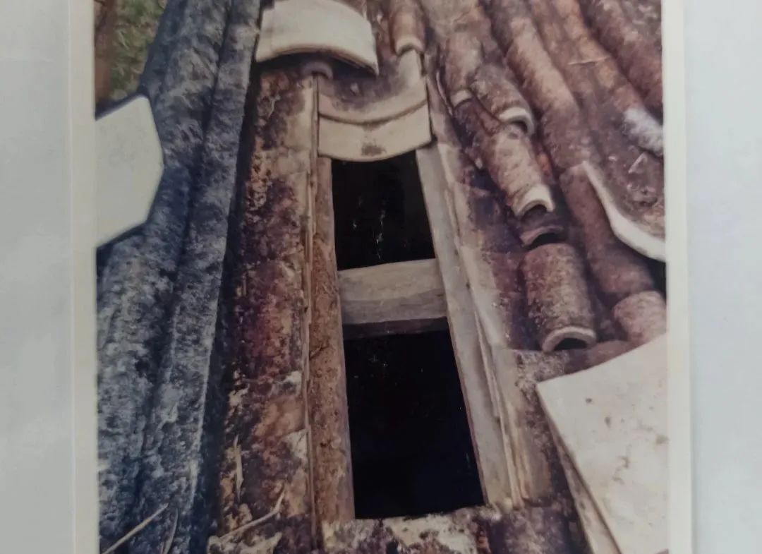 万宁8旬老人睡梦中被杀害，18年后凶手现形，万万没料到是他