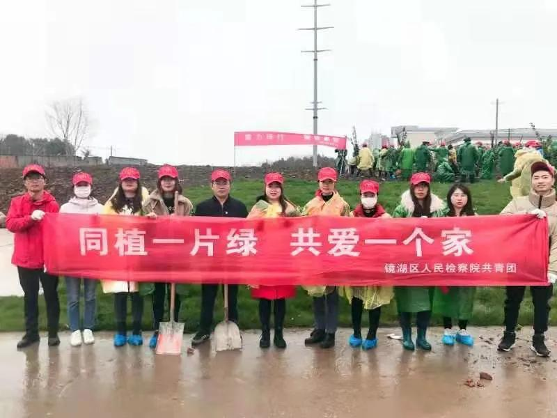 播撒绿色希望，收获美好明天——镜湖区人民检察院开展植树节植树活动