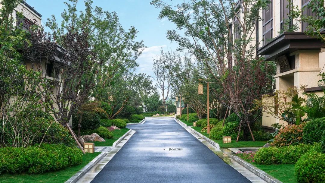 曾经播下的希望种子，此刻已枝繁叶茂