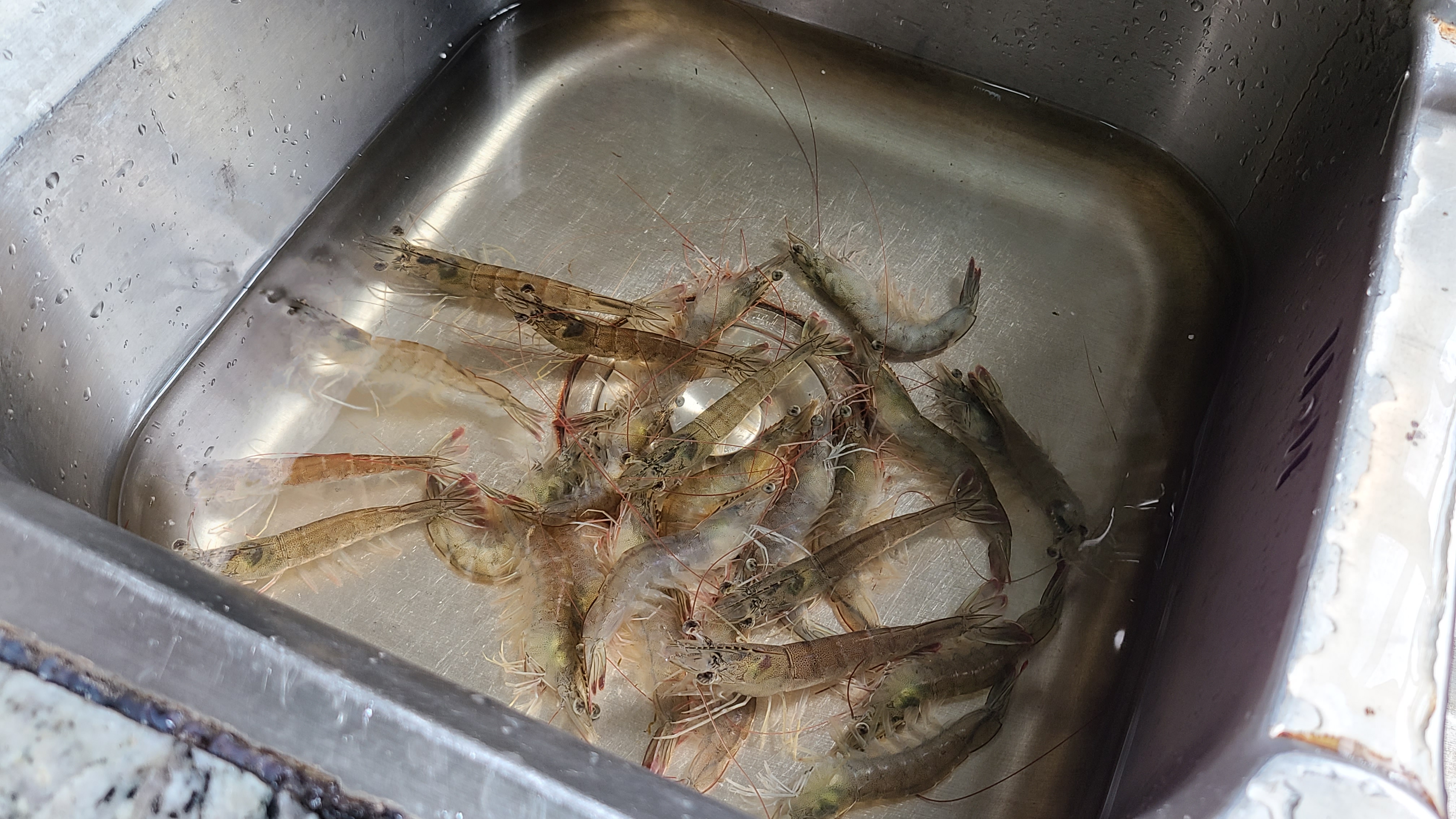 蘿蔔燉海鮮，又鮮又好吃，做法很簡單，天冷吃這個正好