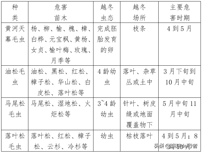 园林常见病虫害汇总-第6张图片-农百科