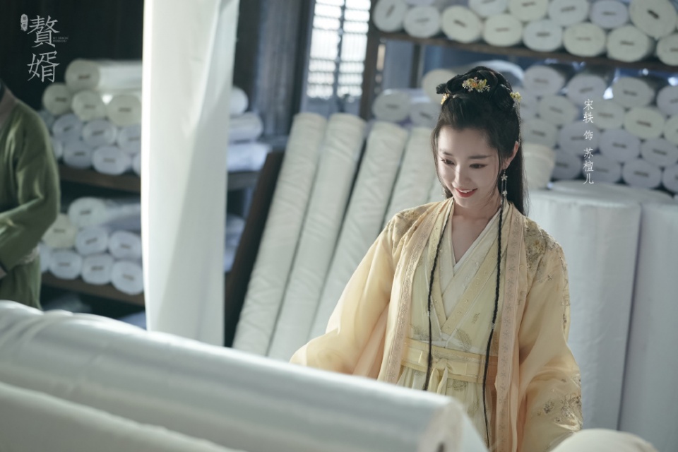 成为|《赘婿》大结局：宁毅成为江宁首富 拒绝六朵桃花与苏檀儿先婚后爱