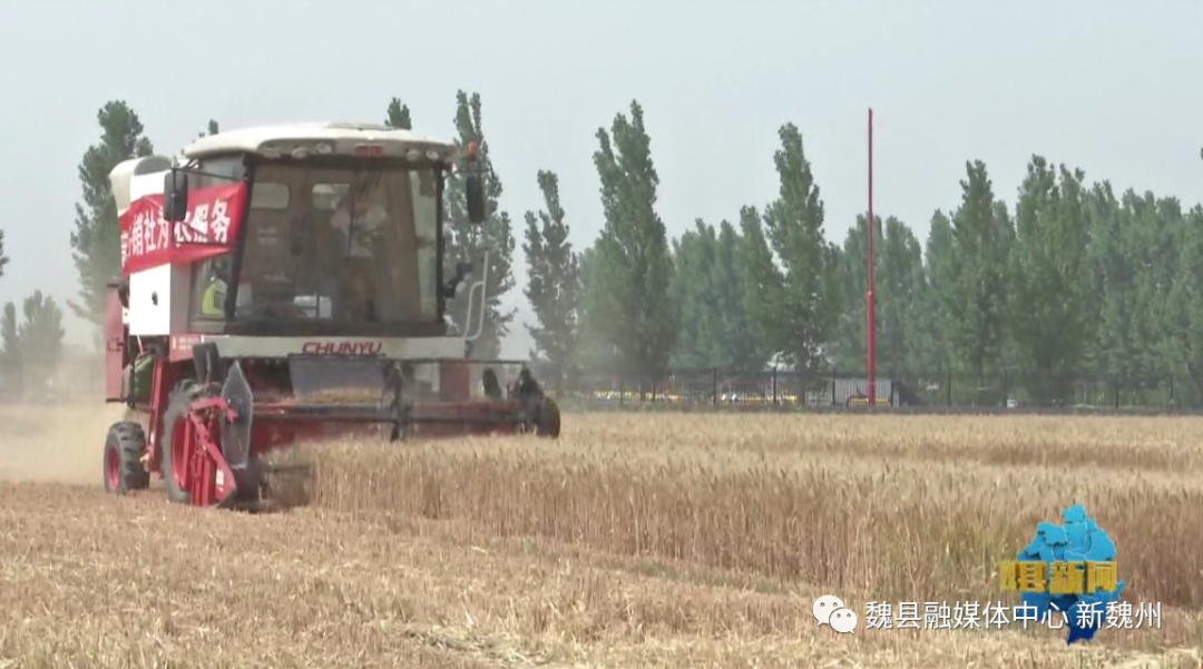 邯郸魏县农机“保姆”保障夏粮丰收