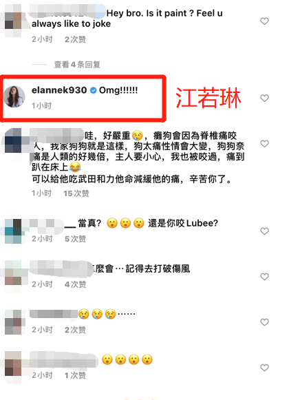 知名歌手曹格被自家狗咬伤，地板上全是血渍，爱犬腿部残疾脾气差