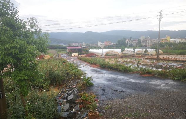 男子生意失败与妻子离婚，疑发生金钱矛盾引发血案！男子将前妻一家4口灭门