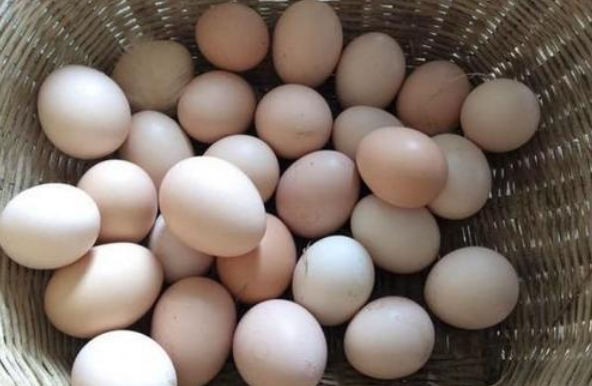 图片[2]-保存鸡蛋的土方法 很管用-起舞食谱网