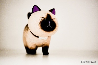 什么叫一价定律