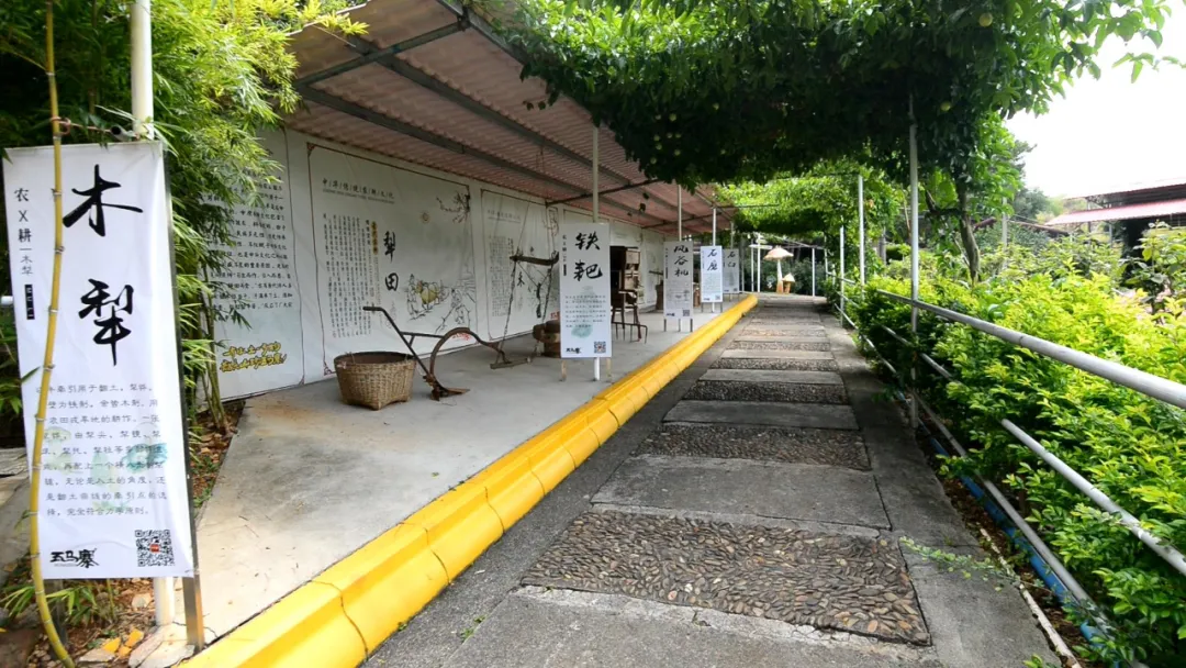 仁爱仁化：创建全国县级文明城市 新时代文明实践在行动——景区篇