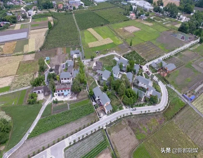 新都区：着力打造乡村农业公园