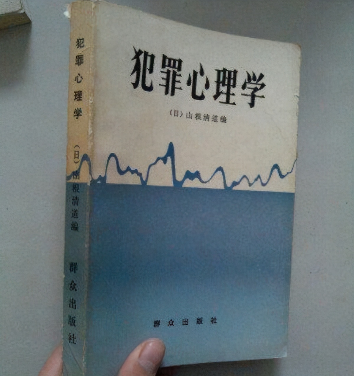 2013年山东凶案剖析：孕妇被轮奸8小时，群体犯罪有多可怕？