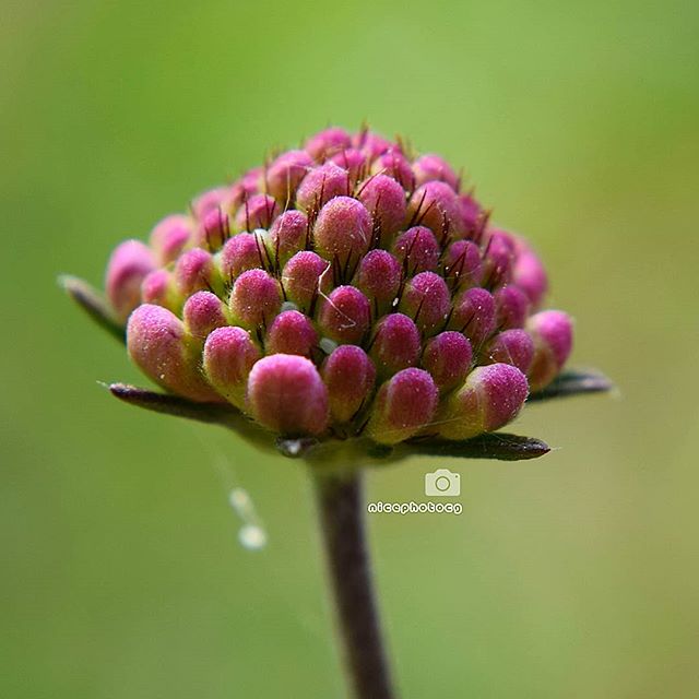 构建植物动物建筑与人的时空