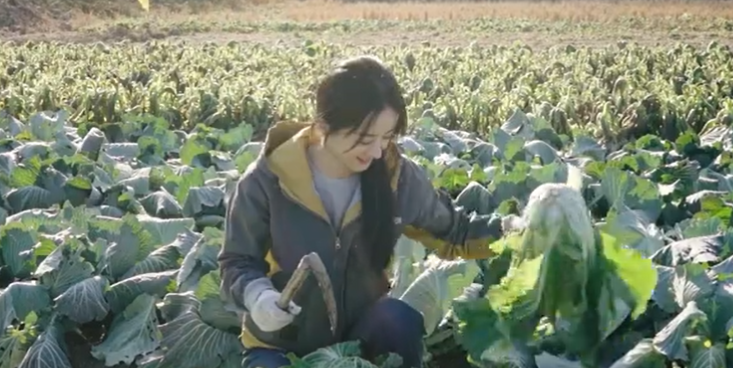 33岁赵丽颖下地干活，直接跪地挖菜太卖力，满面笑容状态佳