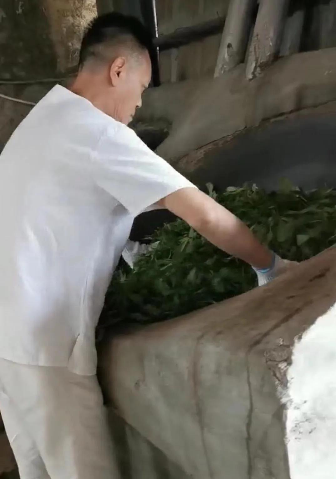 清垃圾的東西很多，為什么一定是茶呢？