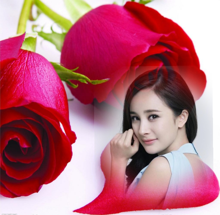 情人|今天2.14情人节多款情人节微信头像 手机壁纸祝有情人幸福美满