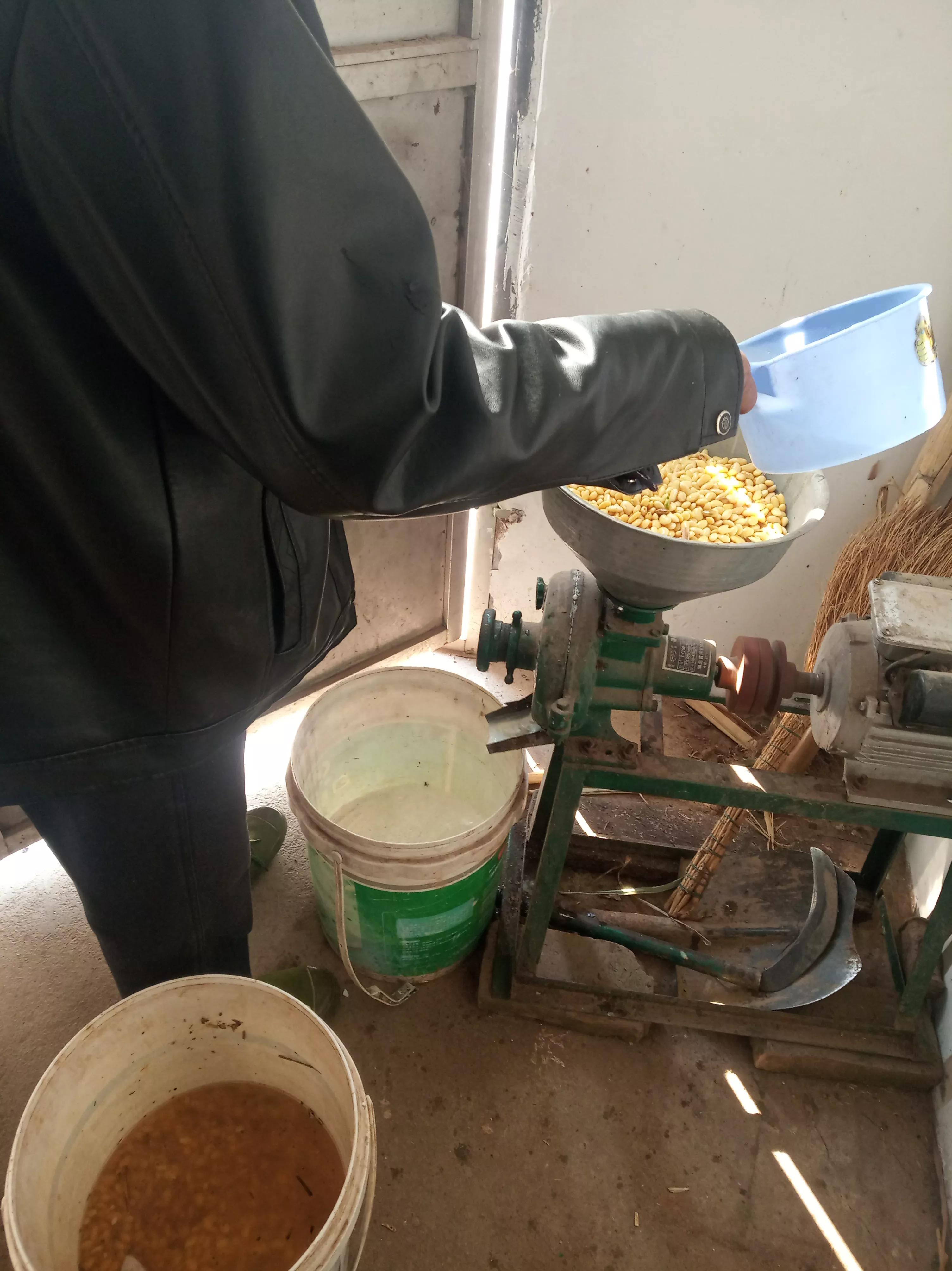 低温给小龙虾投喂豆浆和豆粕到底需不需要煮熟？直接投生的就行