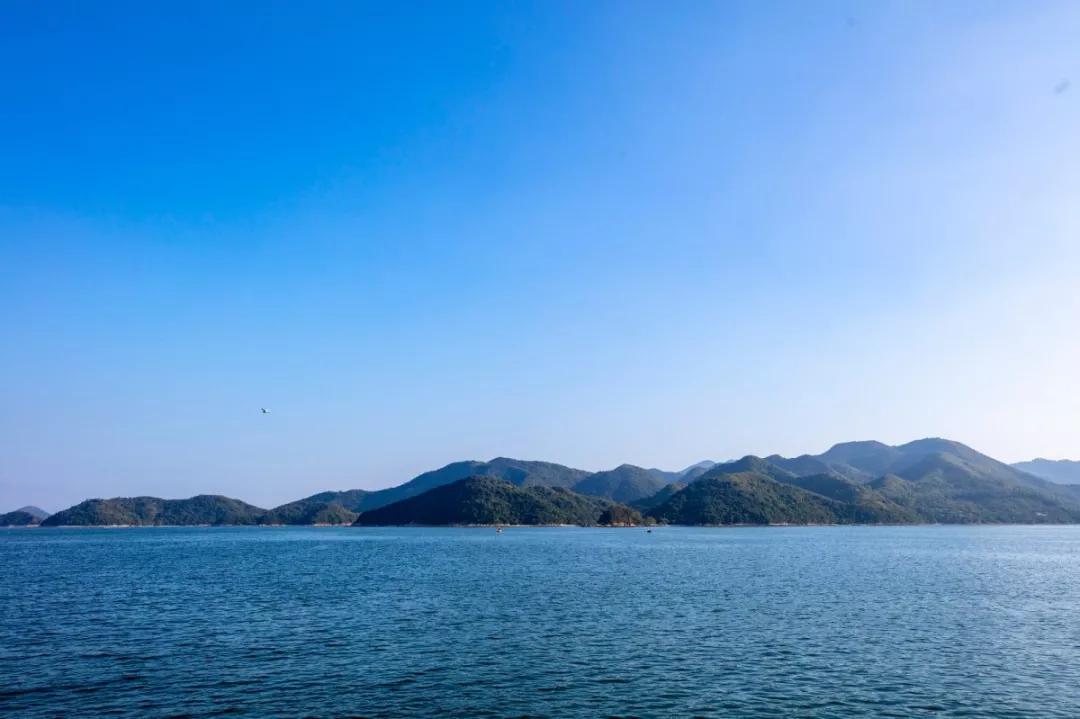 冬天看海的执念，就让温暖的深圳帮忙实现