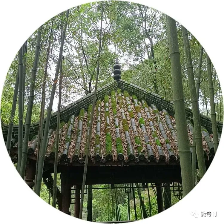 新诗推荐:著名诗人安娟英诗歌专辑