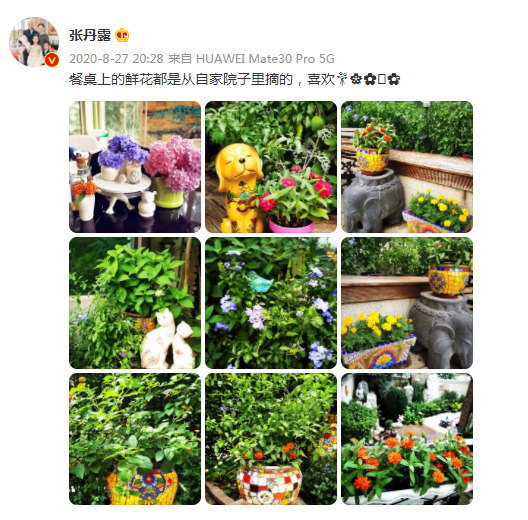 陳小春豪宅沒家具,張智霖租房住?這屆哥哥們的房子讓人大跌眼鏡