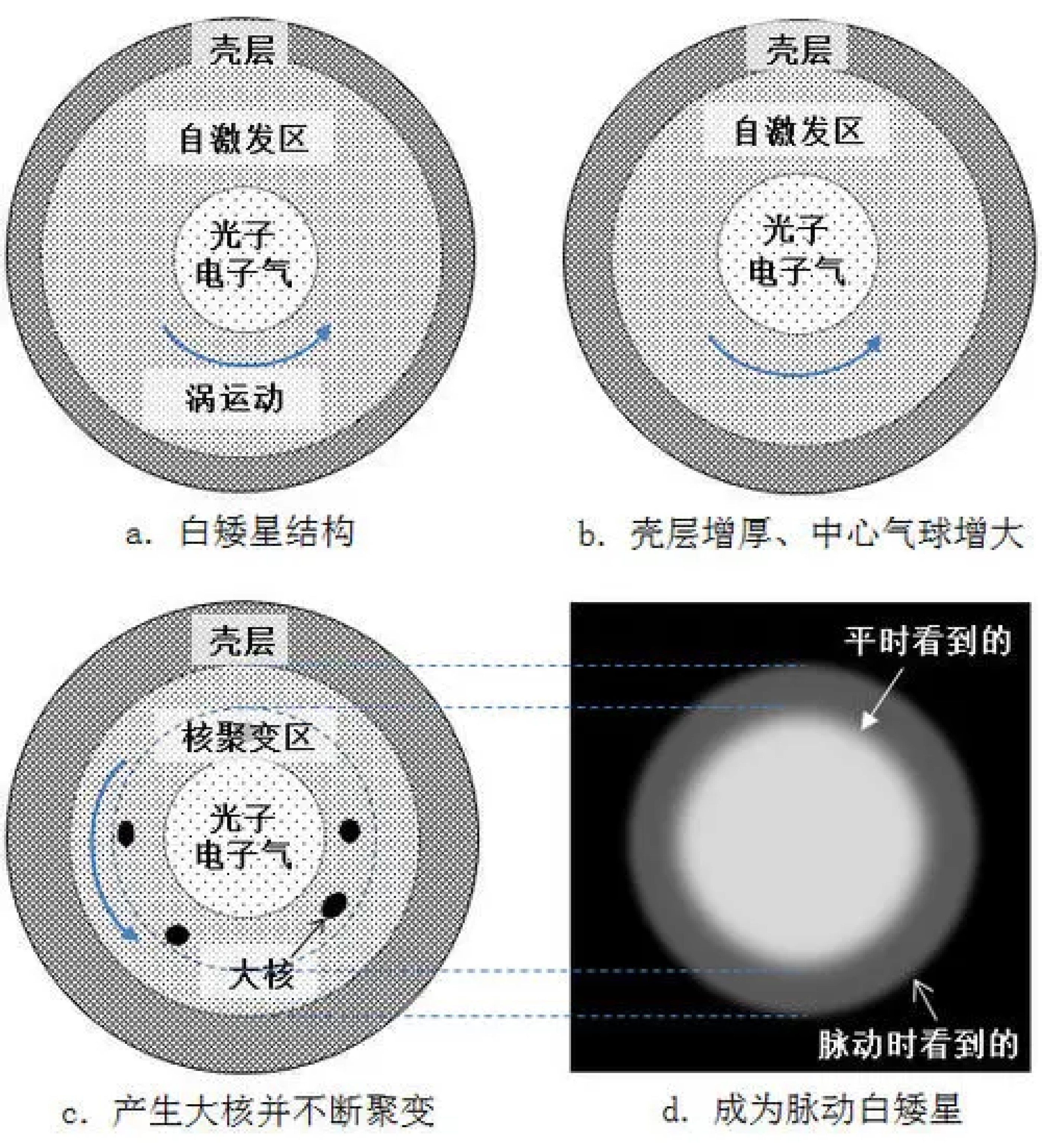 白矮星不断吞食伴星物质，增加自身质量，为啥体积反而变小呢？