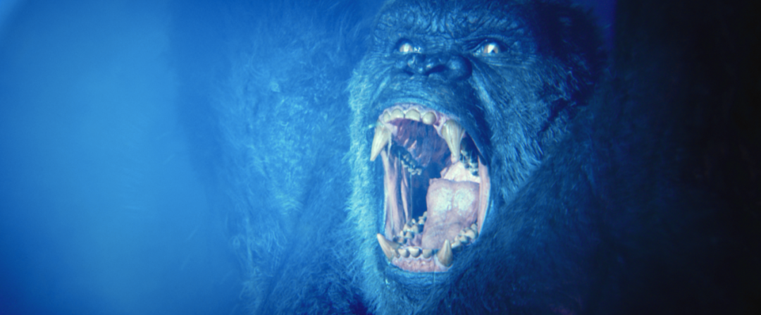 Spring should see a drop hormonal explode the film of canopy! Bright comes to an end! But strange animal piece be confined to this